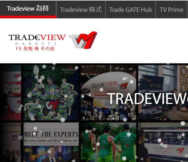 tradeview 評価